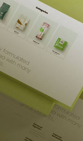 projects 03